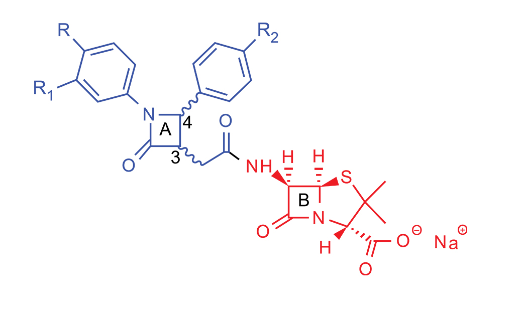 Semi Synthetic Penicillin